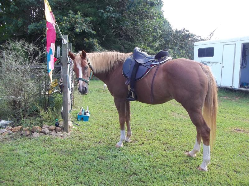 Savannah aka The Queen