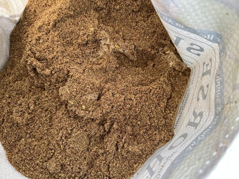 Horse Shine full of worms