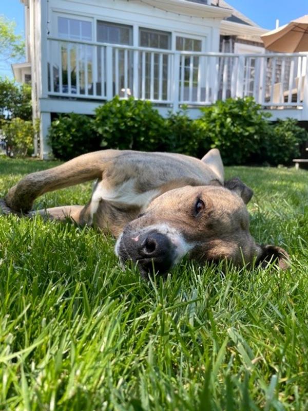 Post-bath grass roll