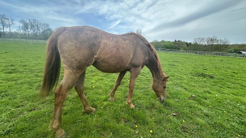 Top line looking better, will continue as she gets into more work