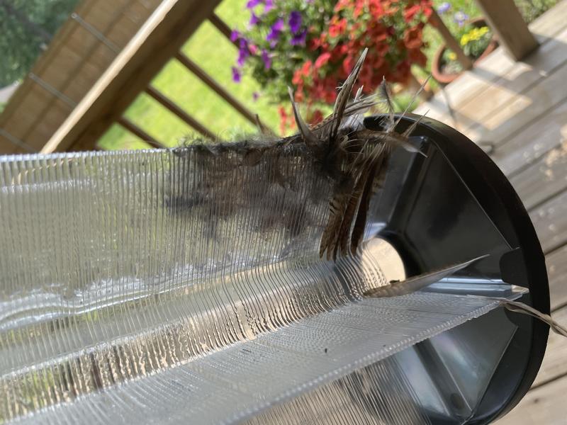 Farnam Starbar Bite Free Stable Fly rap Standard in the Insect Traps ...