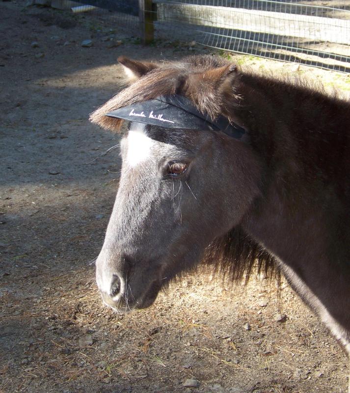 Can you believe my mom put this sunvisor on me??