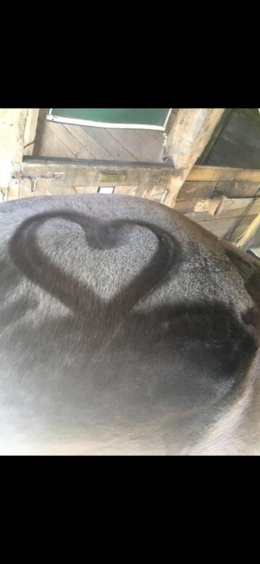 2020 while using a different omega supplement.