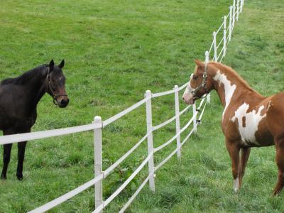 Hey you look clean! You do too!