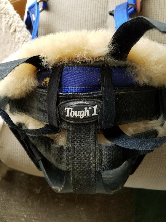 Two velcro plant ties used to attach to noseband in front.