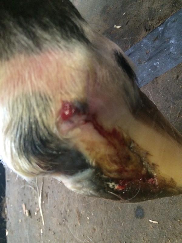 2 mths later- blood from cleaning