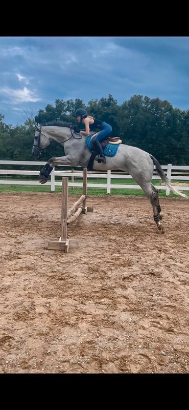There goes my girl and Slickman.  He is so happy the flies aren’t bothering him, he’s jumping for joy!   A little too much.  Haha