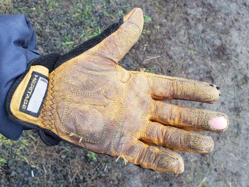 Heritage Stable Work Glove, 10,Tan at Tractor Supply Co