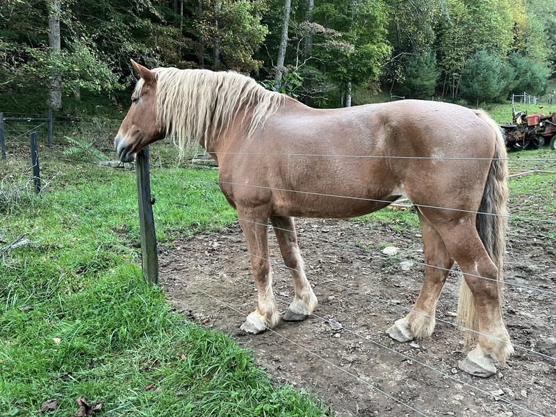 Before photo taken in April 2025 and after taken September 2025