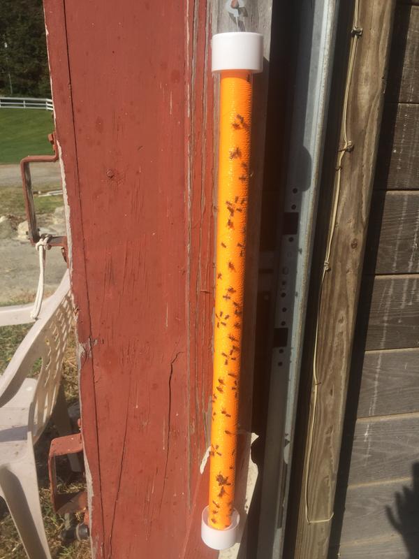 It's been up an hour, maybe less.