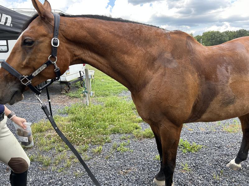 Her first sweat mark in a year!