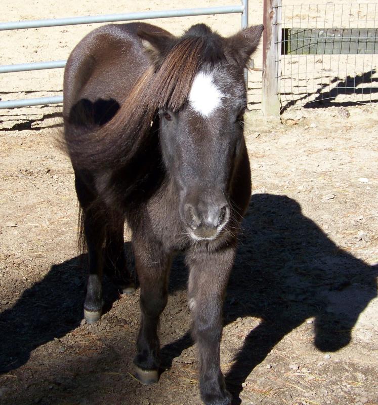 My little Stud muffin