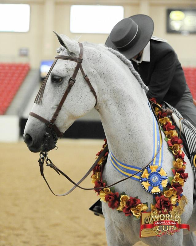 Another win for Vendito RJ