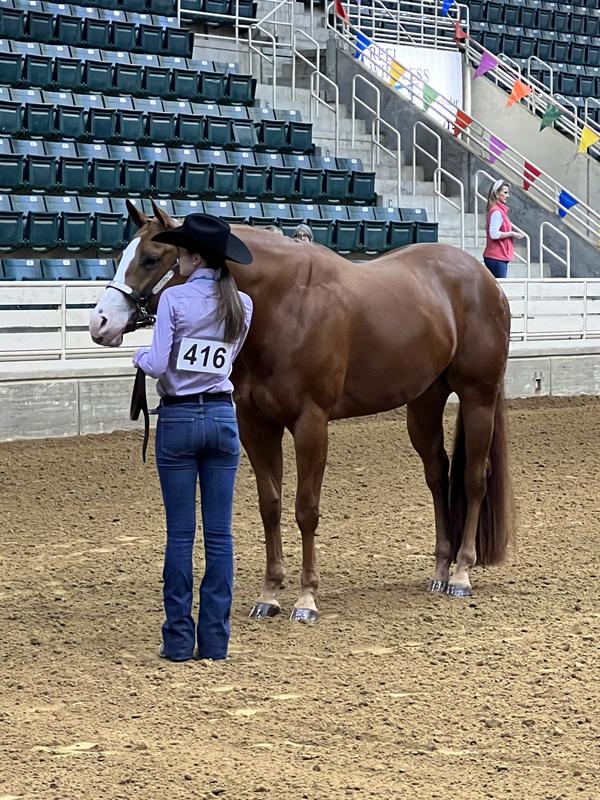 Beautiful show shine thanks to Healthy Hair!