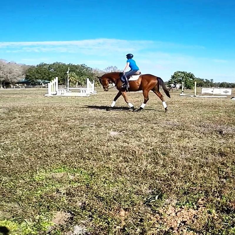 Baby Maxwell looks and feels great on GUT