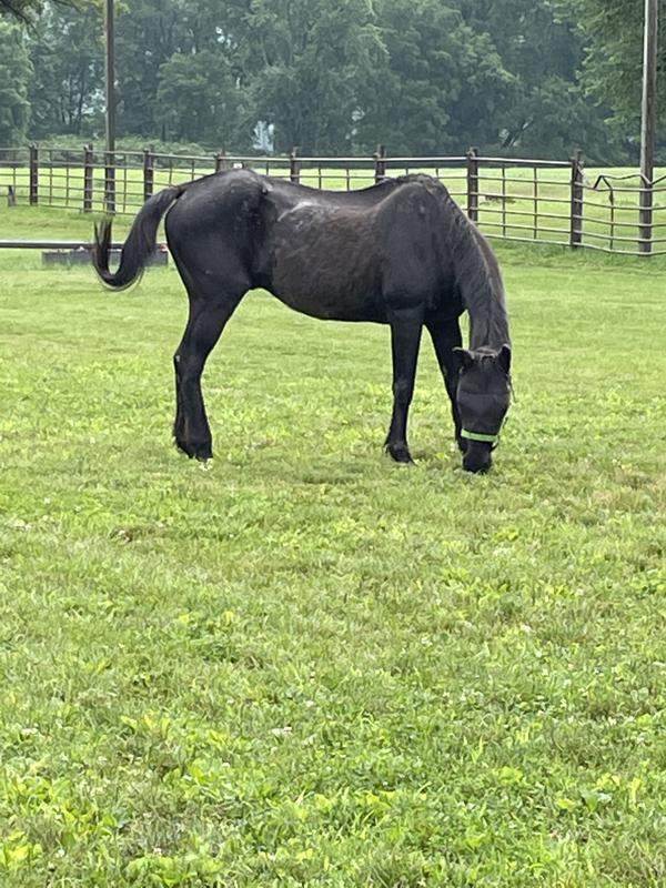 My boy before supplements