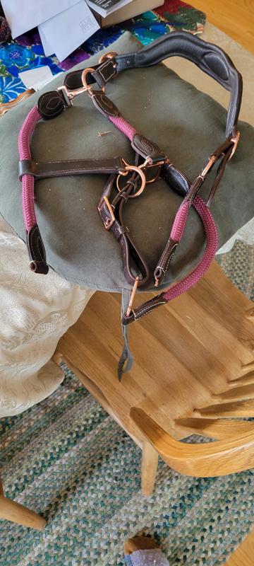 The broken halter