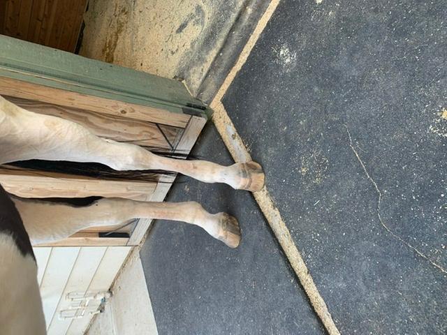 3 months post first pic but 2 months on smart tendon!!