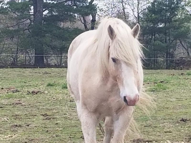 My beautiful boy!
