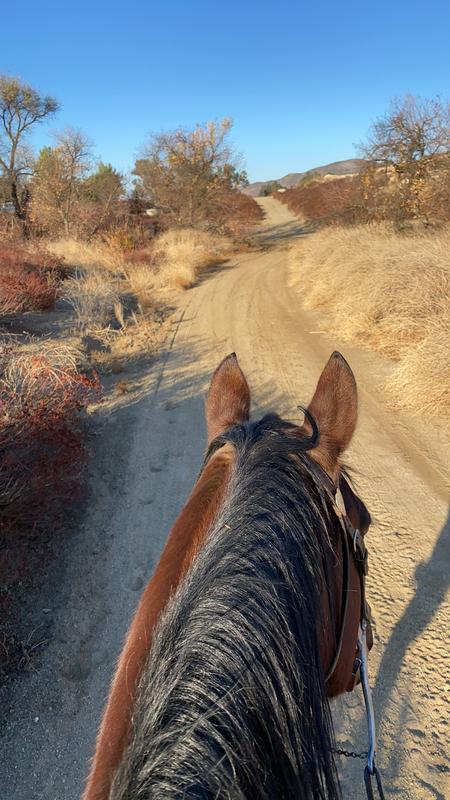 The best view in town!