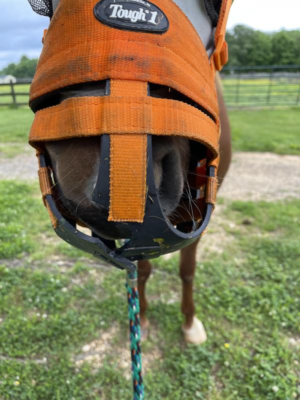 Fit well. Don’t last even 10.5 hours though :-(