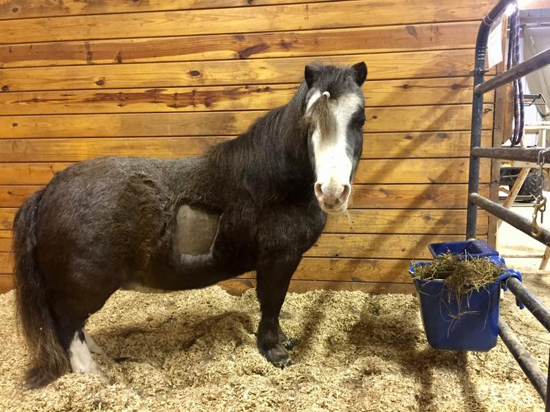 Just home from hospital