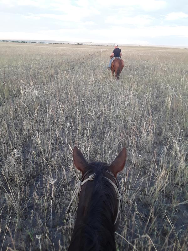 Checking fence on the 400 acres