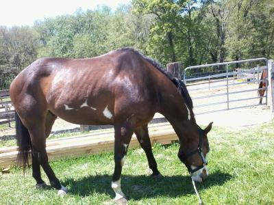 Splash - May 11, 2012