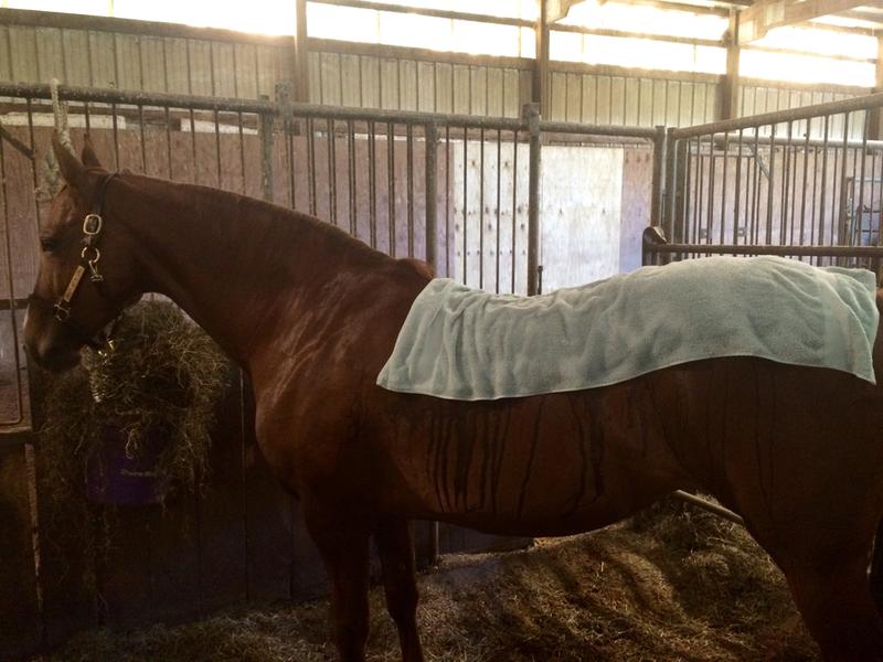 Hot Liniment Towel Spa