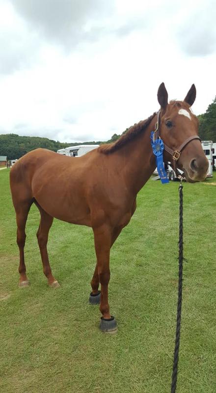 Camila's Horse Show Debut!