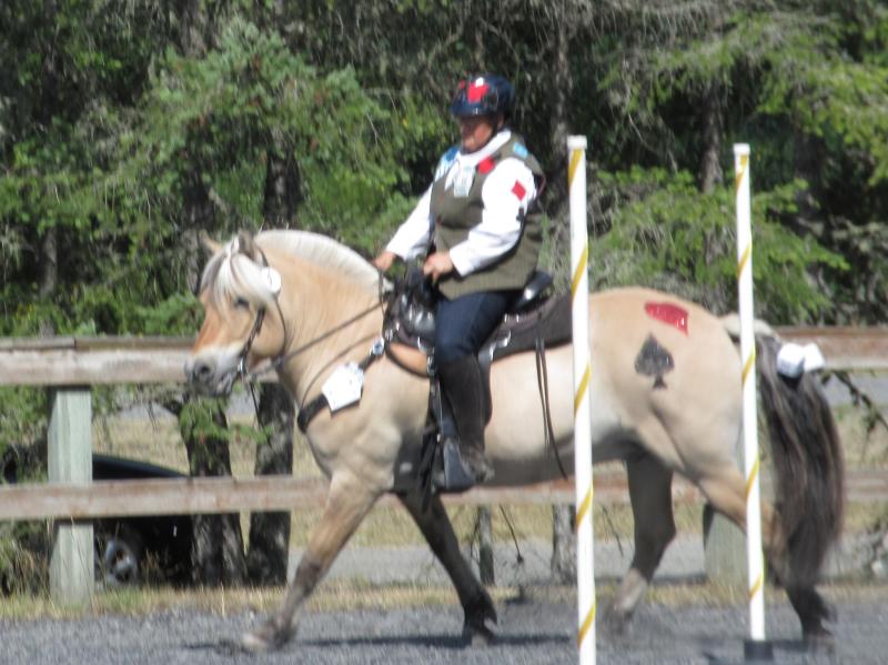 No flies to distract during my WE competition.