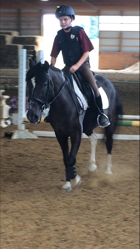 He gets compliments everywhere we go!