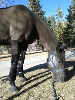 From the side the boot doesn't look too bad, from the front they are very bulky looking, but who cares what they look like as long as they work!