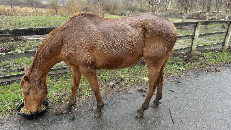 Skinny with no muscle mass in Feb