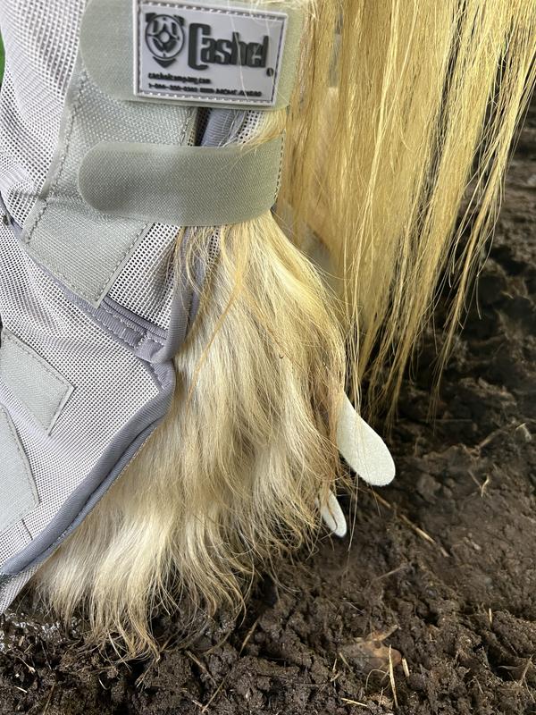 Excuse the mud, we had flooding rain that flooded the run in.