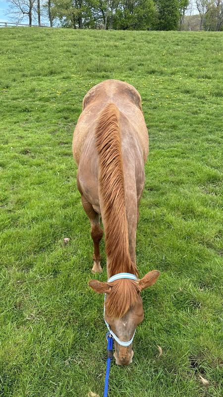 May 1st we have filled out and starting a shed