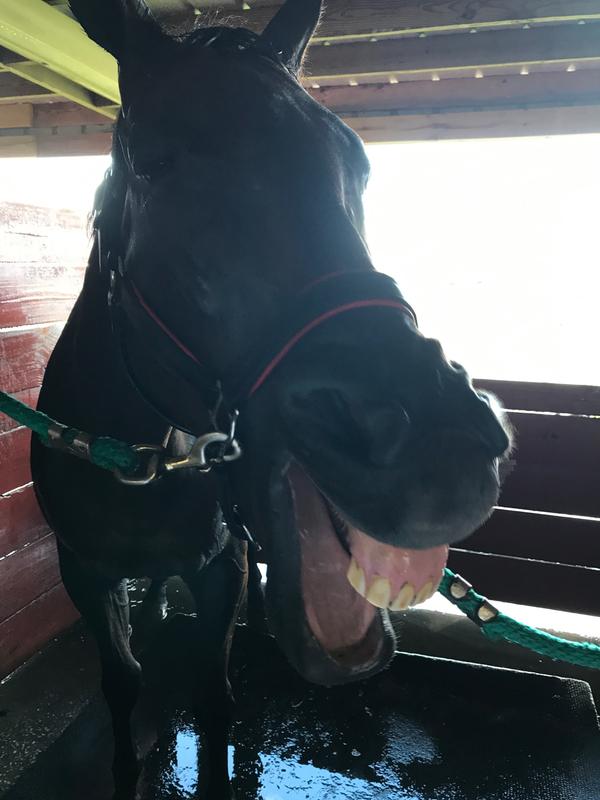 He loves his supplement!