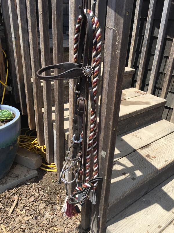My Mare's new headstall.
