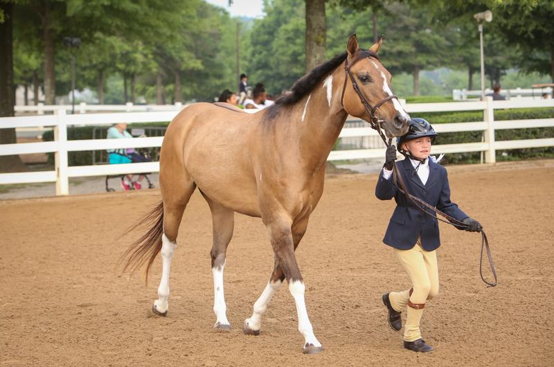 The trifecta: Cute, Pony, Mare!