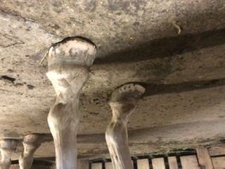 First day on Keratex