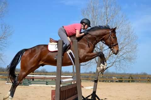 My last yr TB makeover horse is still on SmartCalm with his new owner