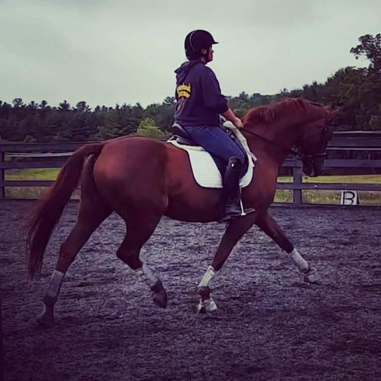 happy mare working hard!