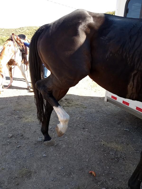 Before using this supplement