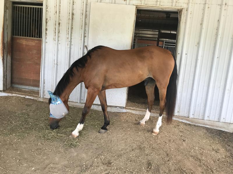 One month after being on the supplement!