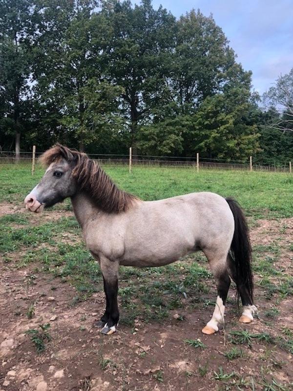 We love SmartMetabo-Lean