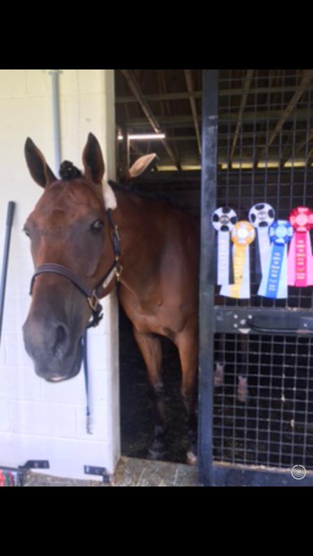 Cecil county fair 2019