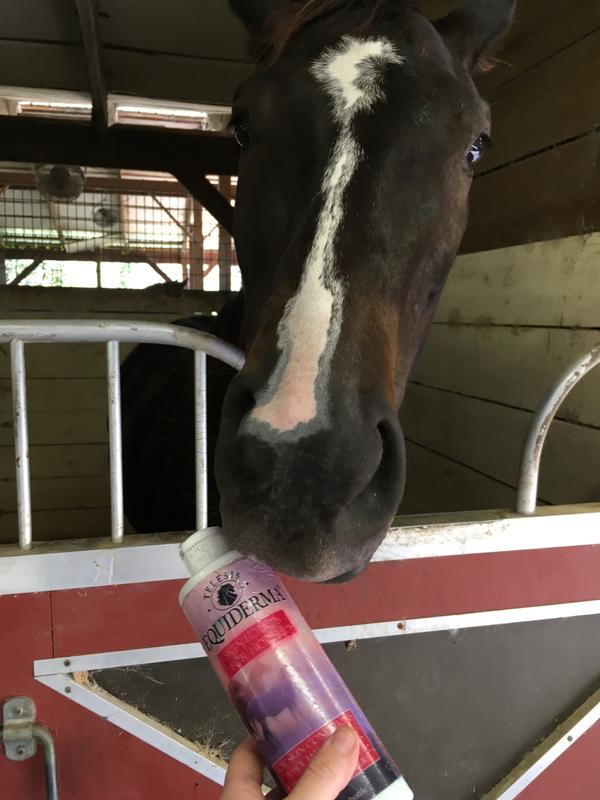 Expi likes Equiderma :-)