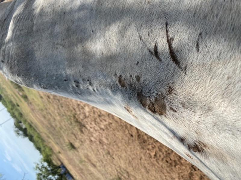 Her back, this did not happen last year