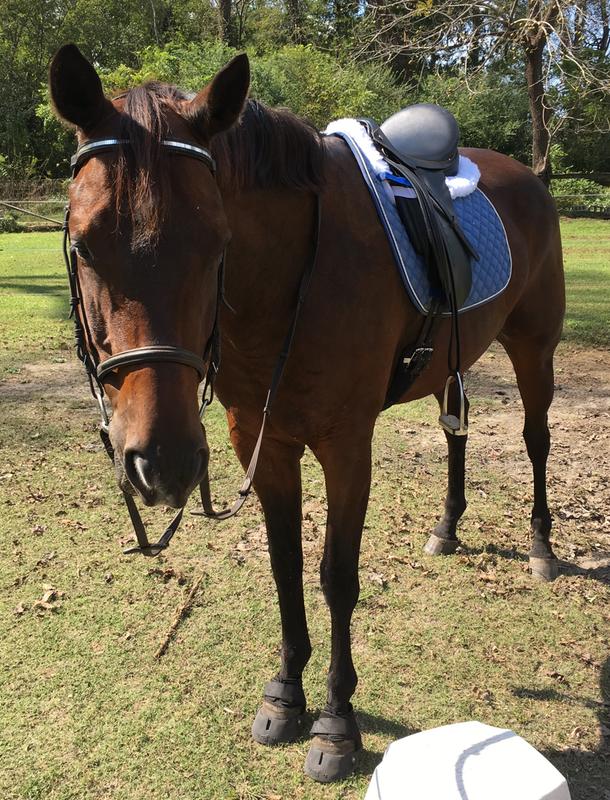 Transitioning to Barefoot