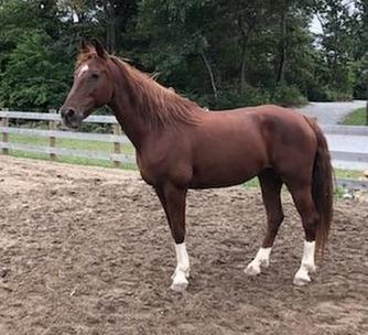 And he smells yummy too!